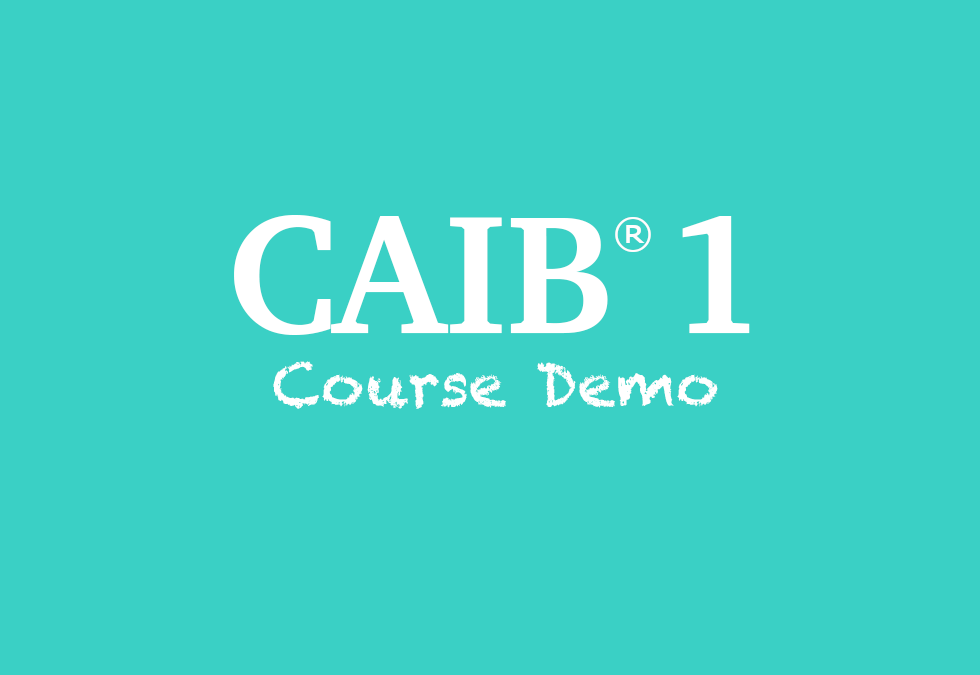 CAIB1.Videodemo