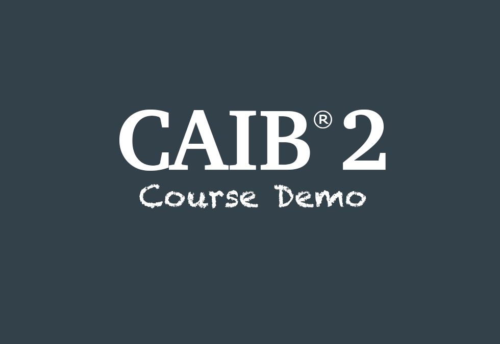 CAIB2.Videodemo