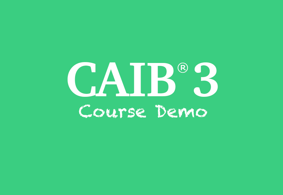 CAIB3.Videodemo